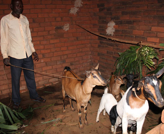 Moses Batuuka – Resident of Bwanalira